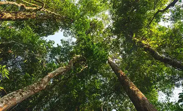 <img width="200" alt="Reasons sustainability 4" src="https://www.culligan.fi/wp-content/themes/culligan-emea/img/four-reasons-module//reasons-sustainability-4.webp" /> Reasons sustainability 4