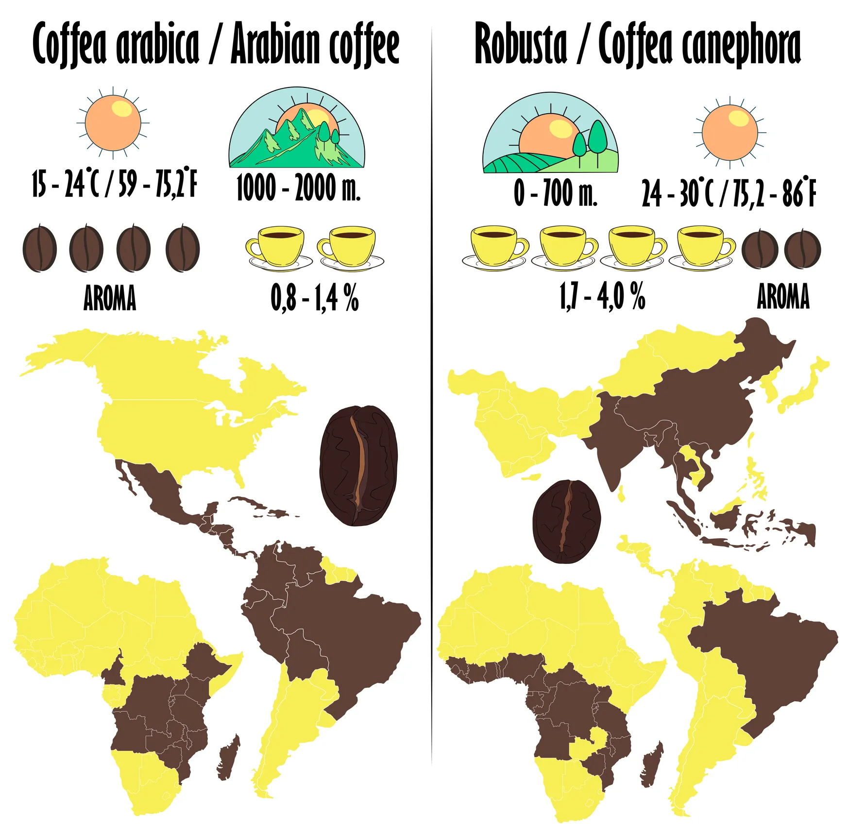 robusta_arabica -Kahvityypit