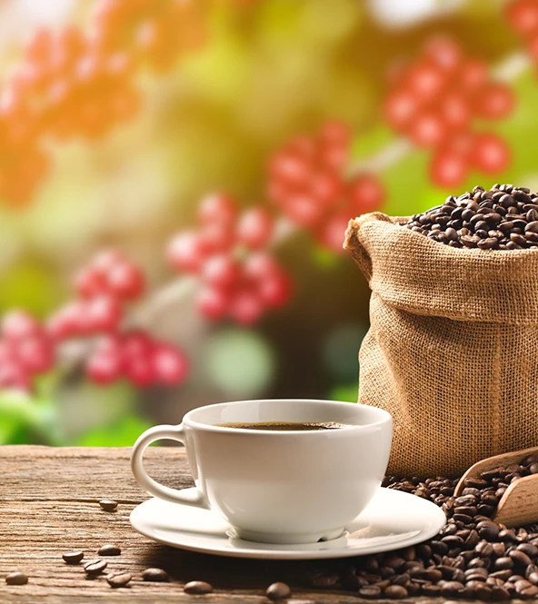 culligan-image-coffee-tall